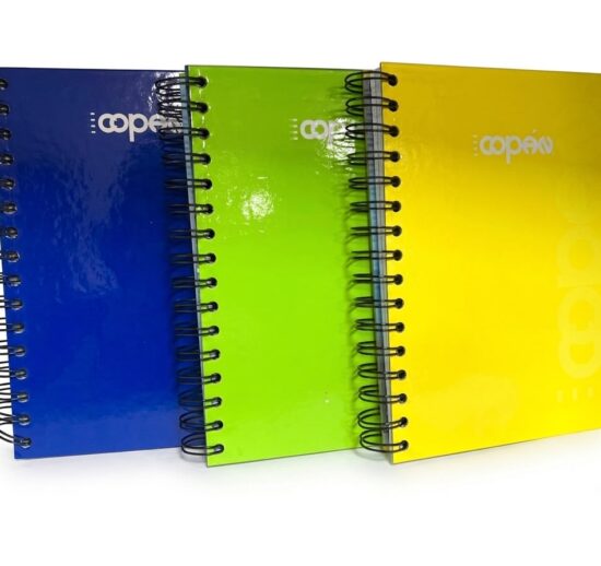 Agendas Esp. 300 5.75x8.75